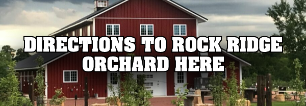 Go to google.com …